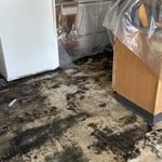 Mold Under LVT