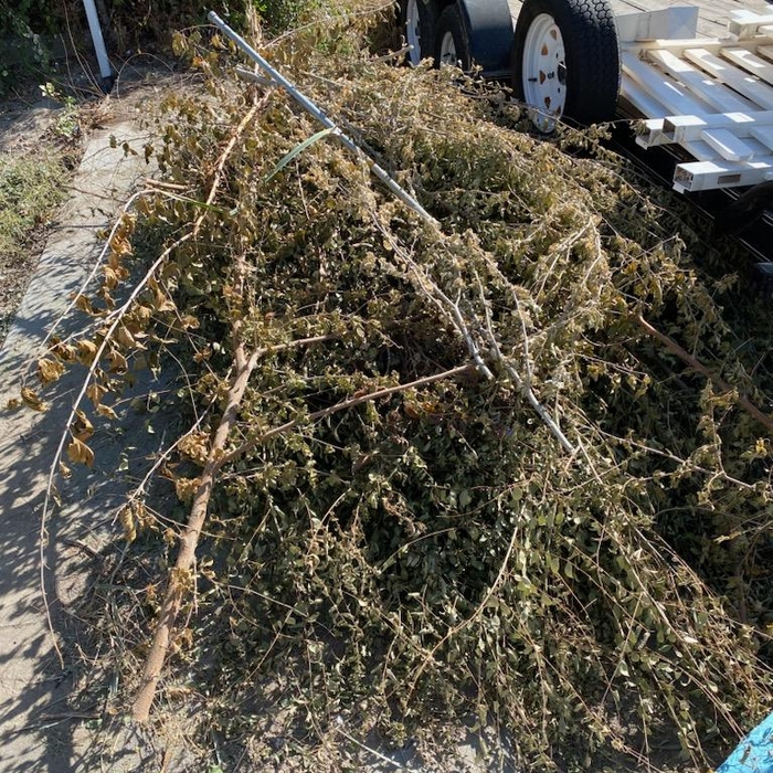 Junk/Debris Removal