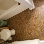 Bathroom remodel (before)