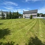 Lawn mowing