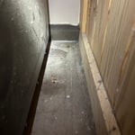 Roach Infestation