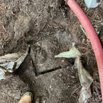 Long Hose