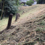 Hillside weed control