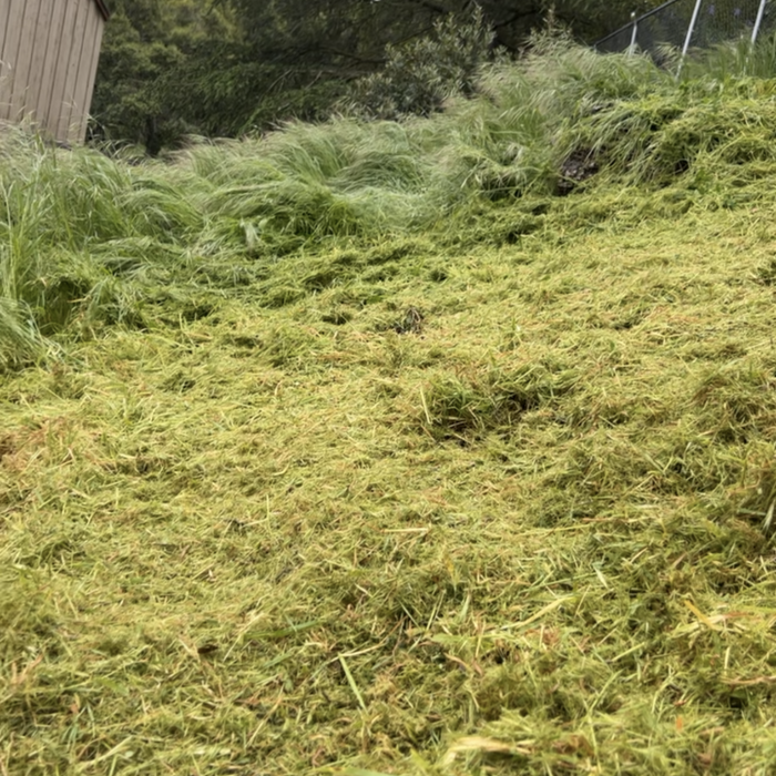 Lush grass/ weed removal