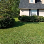 Oasis Lawn Care