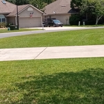 Oasis Lawn Care