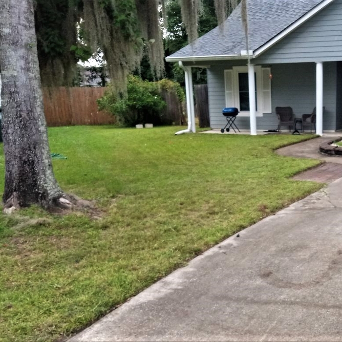 Oasis Lawn Care