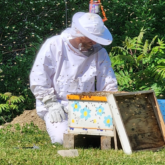 Checking a hive