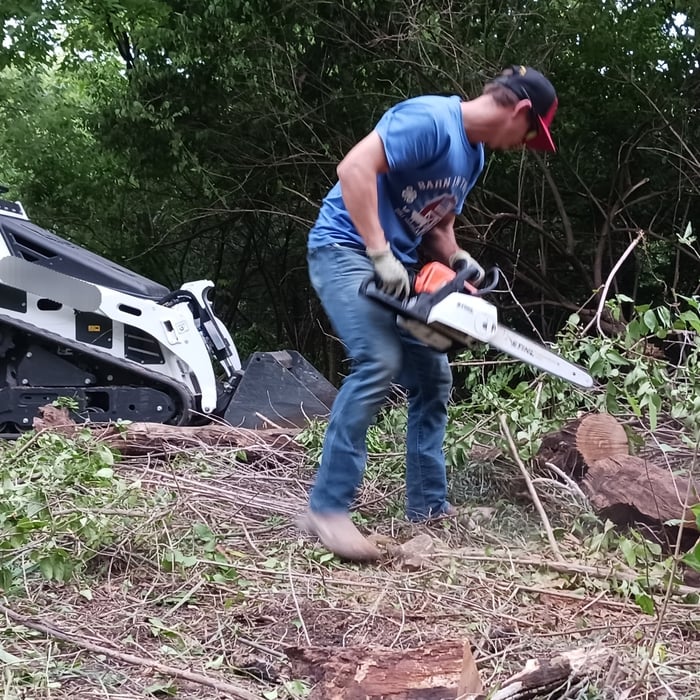 Removing large trees