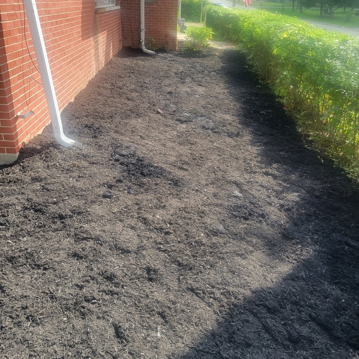 flower bed with tarp and mulch