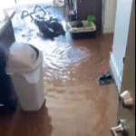 Water Damaged Property
