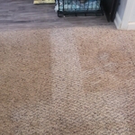During Cleaning