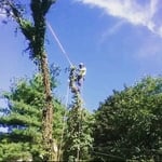 Working the Ropes