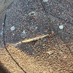 Roof Inspection