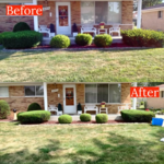 Bush Trimming
