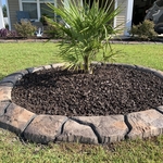 Landscape Curbing