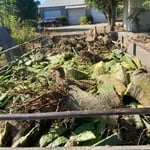 2 trailer loads came out of this job