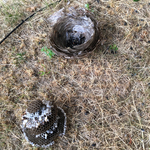 Complete nest