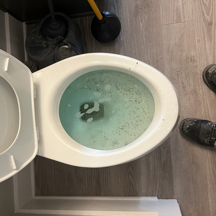 Toilet stoppage