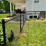 Yard Fencing