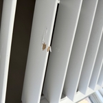 Shutter Repair