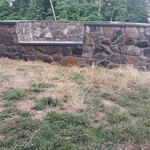 Flower bed/garden