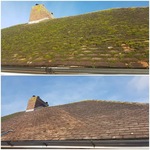 roof clean