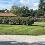 Lawn Maintenance