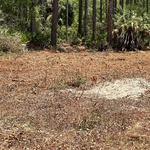 before area to be cleared