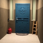 Road Runner security door