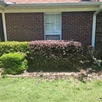 Reasonable Lawn Care