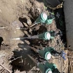 Maciel landscaping