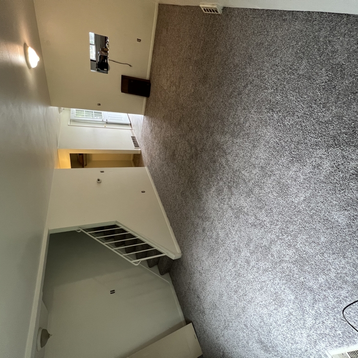 Carpet Makeover