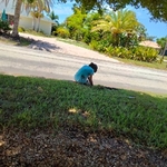 Garden Sprinkler System
