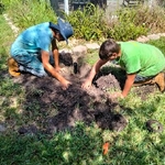 Garden Sprinkler System