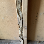 SUB. TERMITE DAMAGE