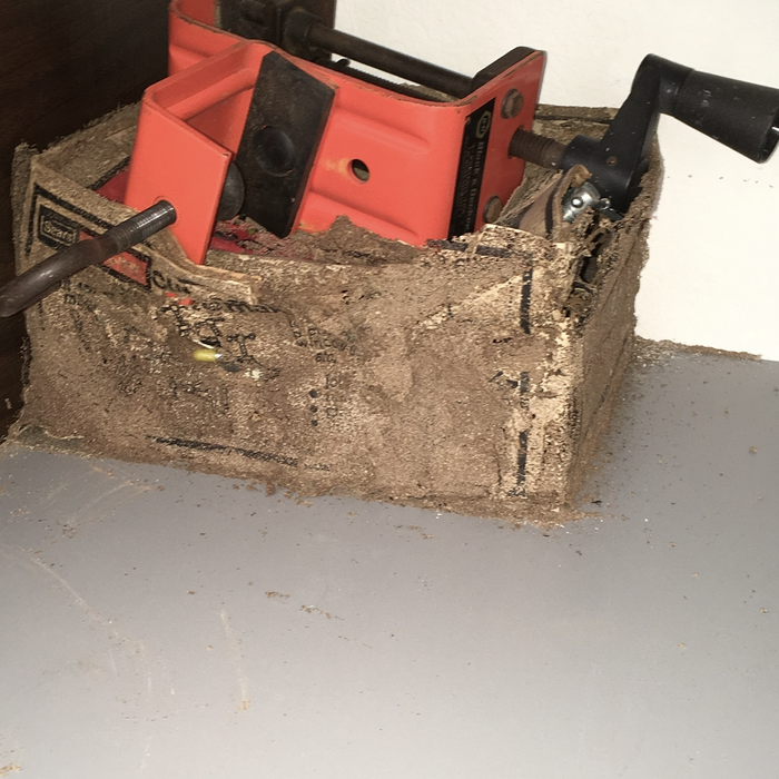 SUB. TERMITE DAMAGE