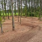 mulching