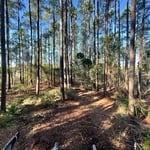 mulching