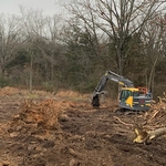 Tree cleanup