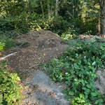 Yard waste before