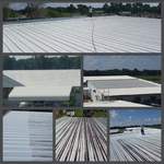 roof cleaning