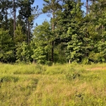 Before Road