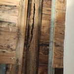 Sewer vent
