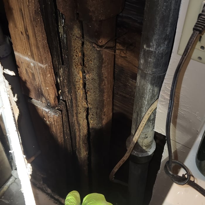 Sewer vent
