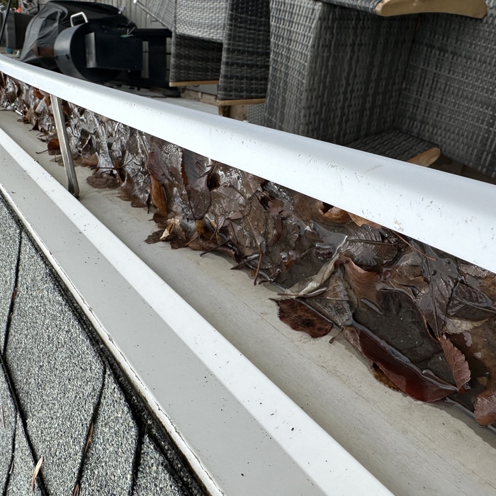 Premium Gutter Protection
