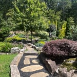 Meandering Pathway