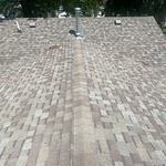 Shingles Before