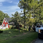 DB Tree Removal