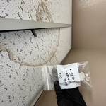 Ceiling panel
